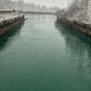 Meet your Posher, Edgar